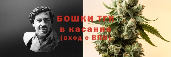 дживик Баксан